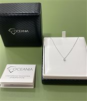 Collier Floriddia Gioielli Femme in Or blanc Diamante 0.08 Ct 57345 COLLANA PUNTO LUCE IN BRILLANTE - 57345 COLLANA PUNTO LUCE IN BRILLANTE